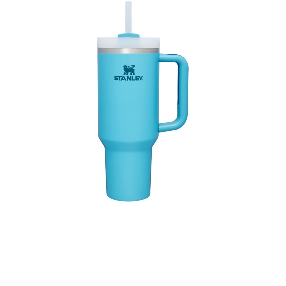 Pool Stanley quencher 40 oz